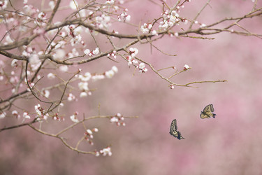 Similar image 11786083