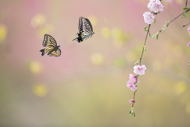 Similar image 11786140