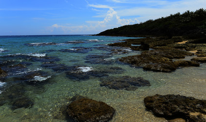 Similar image 11786232