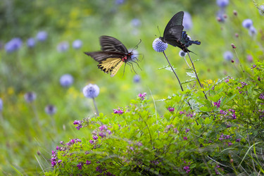 Similar image 11786365