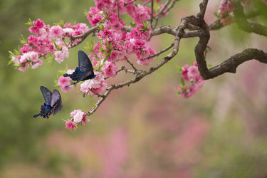 Similar image 11786490