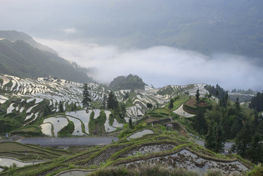 Similar image 11786511