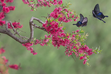 Similar image 11786631