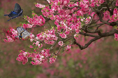 Similar image 11786717