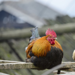 Similar image 11786757