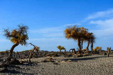 Similar image 11786871