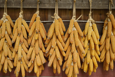 Similar image 11787361