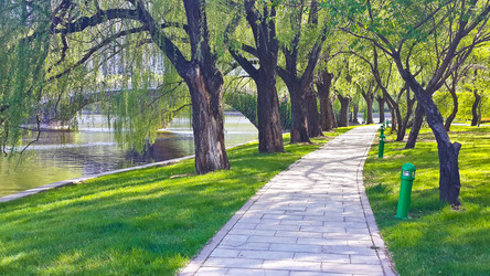 Similar image 11787536