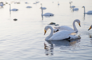 Similar image 11787682