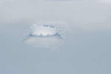 Similar image 11787713