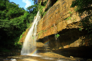 Similar image 11787866