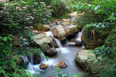 Similar image 11788175