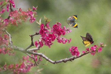 Similar image 11788193