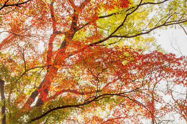 Similar image 11788896