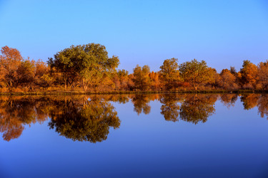 Similar image 11788962