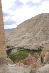 Similar image 11788995