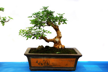 Similar image 11789074