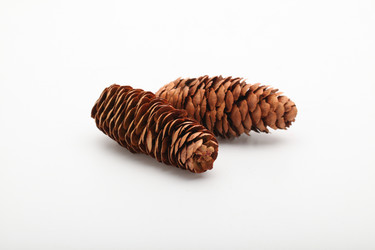 Similar image 11789333