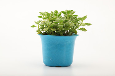 Similar image 11789365