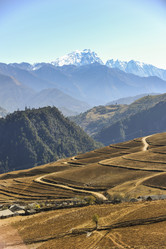 Similar image 11789429