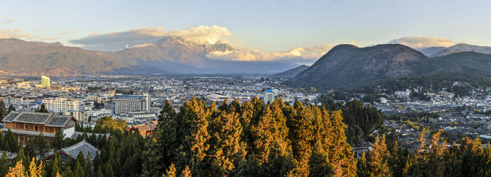 Similar image 11789536