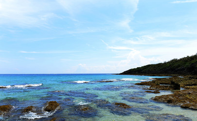 Similar image 11789642