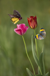 Similar image 11789688