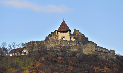 Similar image 11789953