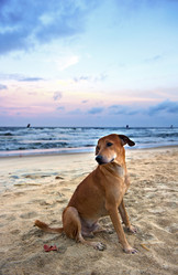 Similar image 11790021