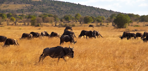 Similar image 11793785