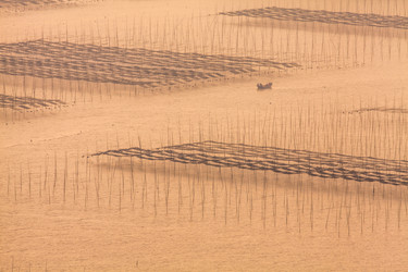 Similar image 11793883