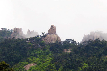 Similar image 11794515