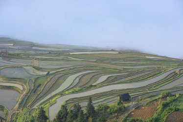 Similar image 11794579