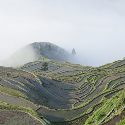 Similar image 11794612