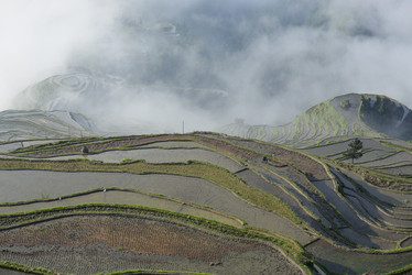 Similar image 11794698