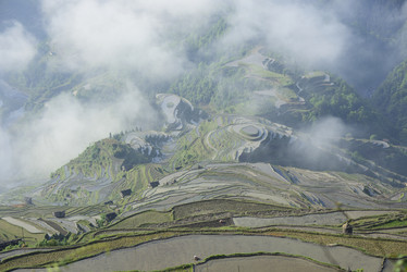 Similar image 11794858