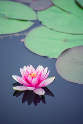 Similar image 11795021