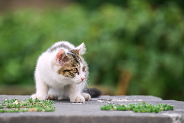 Similar image 11795055