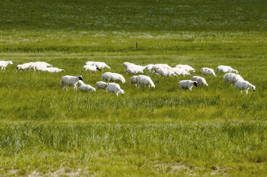 Similar image 11795152