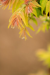 Similar image 11795252