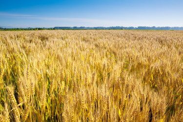 Similar image 11796065