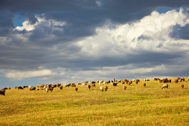 Similar image 11796128