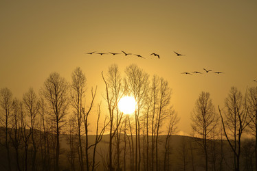 Similar image 11796257