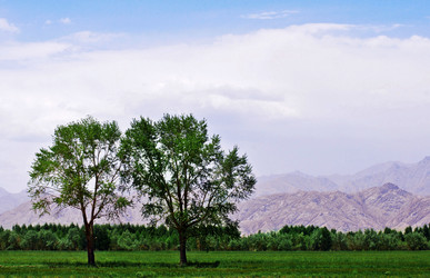 Similar image 11796446