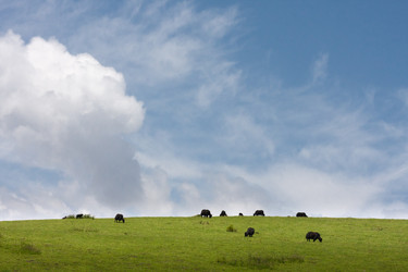 Similar image 11797140