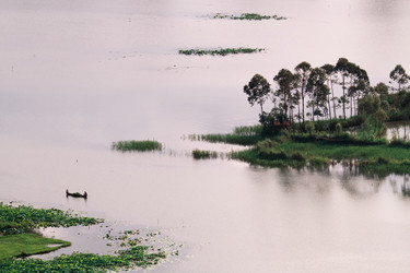 Similar image 11797190