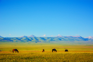 Similar image 11797644