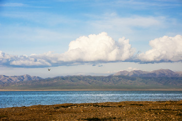 Similar image 11798150