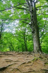 Similar image 11798210