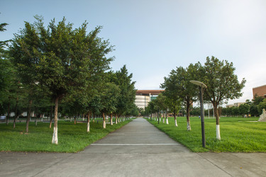 Similar image 11798352